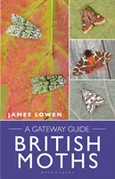 Brytyjskie ćmy: Przewodnik - British Moths: A Gateway Guide