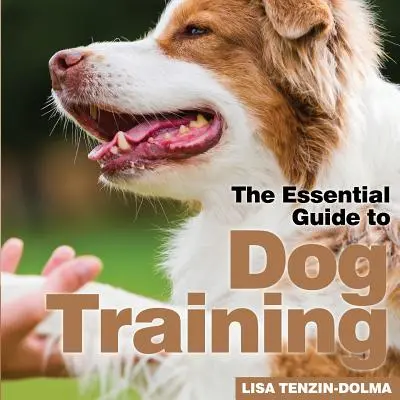 Szkolenie psów - Dog Training