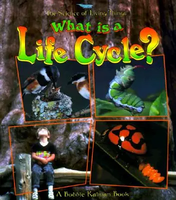 Co to jest cykl życia? - What Is a Life Cycle?