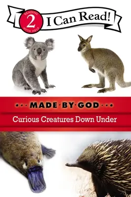 Curious Creatures Down Under: Poziom 2 - Curious Creatures Down Under: Level 2