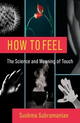 Jak czuć: nauka i znaczenie dotyku - How to Feel: The Science and Meaning of Touch