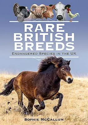 Rzadkie brytyjskie rasy: Zagrożone gatunki w Wielkiej Brytanii - Rare British Breeds: Endangered Species in the UK