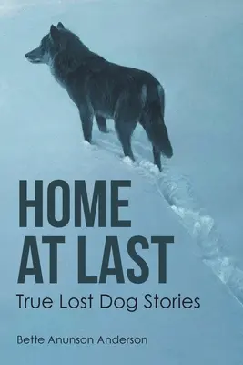 W końcu w domu: Prawdziwe historie zaginionych psów - Home at last: True Lost Dog Stories