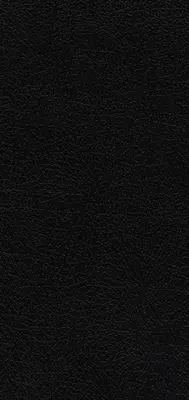 Niv, Kieszonkowa cienka Biblia, skóra klejona, czarna, czerwone litery, wygodny druk - Niv, Pocket Thinline Bible, Bonded Leather, Black, Red Letter, Comfort Print