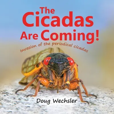 Nadchodzą cykady! Inwazja cykad! - The Cicadas Are Coming!: Invasion of the Periodical Cicadas!
