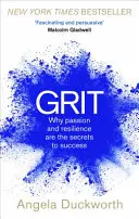 Grit - Dlaczego pasja i odporność są sekretami sukcesu - Grit - Why passion and resilience are the secrets to success