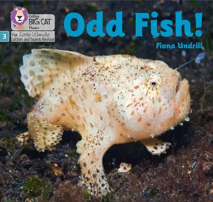 Odd Fish! - Faza 3 - Odd Fish! - Phase 3