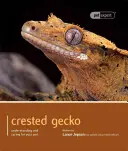 Gekon czubaty: Zrozumienie i opieka nad zwierzęciem - Crested Gecko: Understanding and Caring for Your Pet