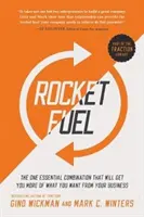 Rocket Fuel: Jedyna niezbędna kombinacja, która zapewni ci więcej tego, czego chcesz od swojej firmy - Rocket Fuel: The One Essential Combination That Will Get You More of What You Want from Your Business