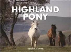 Duch kuca góralskiego - Spirit of the Highland Pony