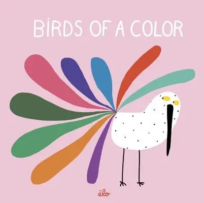 Ptaki koloru - Birds of a Color