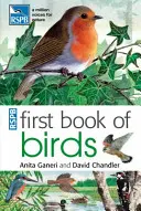 Pierwsza księga ptaków RSPB - RSPB First Book Of Birds