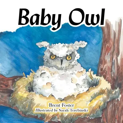 Mała sowa - Baby Owl