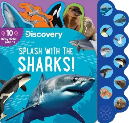 Discovery: Plusk z rekinami! - Discovery: Splash with the Sharks!