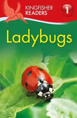 Biedronki - Ladybugs