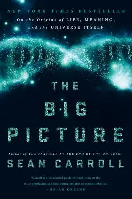 The Big Picture: O pochodzeniu życia, znaczeniu i samym wszechświecie - The Big Picture: On the Origins of Life, Meaning, and the Universe Itself