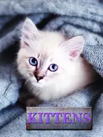 Kocięta - Kittens