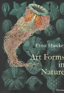 Formy sztuki w naturze: Odciski Ernsta Haeckela - Art Forms in Nature: The Prints of Ernst Haeckel