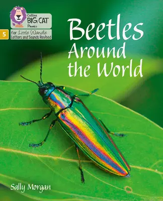 Chrząszcze na całym świecie - Faza 5 - Beetles Around the World - Phase 5