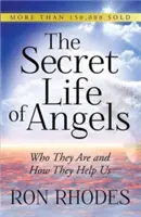 Sekretne życie aniołów: Kim są i jak nam pomagają - The Secret Life of Angels: Who They Are and How They Help Us