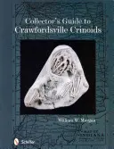 Przewodnik kolekcjonera po krinoidach z Crawfordsville - Collector's Guide to Crawfordsville Crinoids
