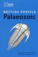 Brytyjskie skamieniałości paleozoiczne - British Palaeozoic Fossils