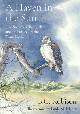 A Haven in the Sun: Pięć opowieści o życiu ptaków i jego przyszłości na wybrzeżu Teksasu - A Haven in the Sun: Five Stories of Bird Life and Its Future on the Texas Coast