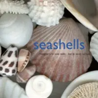 Muszelki - Seashells