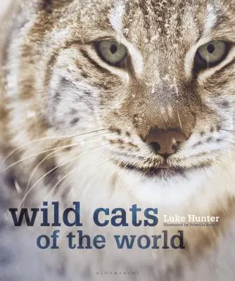 Dzikie koty świata - Wild Cats of the World