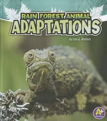 Adaptacje zwierząt w lasach deszczowych - Rain Forest Animal Adaptations