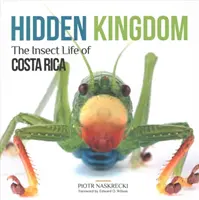 Ukryte królestwo: Życie owadów Kostaryki - Hidden Kingdom: The Insect Life of Costa Rica