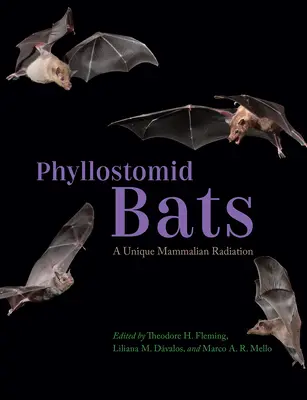 Nietoperze filostomidalne: unikalne promieniowanie ssaków - Phyllostomid Bats: A Unique Mammalian Radiation