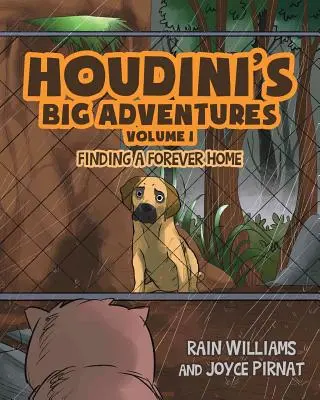 Wielkie przygody Houdiniego: Znalezienie domu na zawsze - Houdini's Big Adventures: Finding a Forever Home