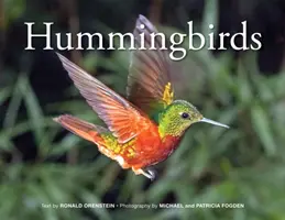 Kolibry - Hummingbirds