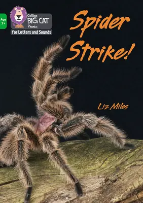 Spider Strike! - Pasmo 05/Zielony - Spider Strike! - Band 05/Green