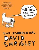 Co ty do cholery robisz? The Essential David Shrigley - What The Hell Are You Doing?: The Essential David Shrigley