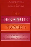 Proces terapeutyczny: Kliniczne wprowadzenie do psychoterapii psychodynamicznej - The Therapeutic Process: A Clinical Introduction to Psychodynamic Psychotherapy