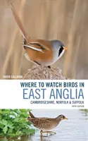 Gdzie oglądać ptaki we wschodniej Anglii: Cambridgeshire, Norfolk i Suffolk - Where to Watch Birds in East Anglia: Cambridgeshire, Norfolk and Suffolk