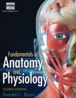 Podstawy anatomii i fizjologii - Fundamentals of Anatomy and Physiology