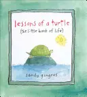 Lekcje żółwia: (Mała księga życia) - Lessons of a Turtle: (The Little Book of Life)