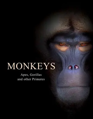 Małpy: Małpy, goryle i inne naczelne - Monkeys: Apes, Gorillas and Other Primates