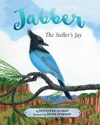 Sójka gwiaździsta Jabber - Jabber the Steller's Jay