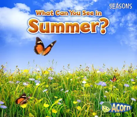 Co można zobaczyć latem? - What Can You See in Summer?