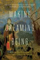 Przebudzenie, śnienie, bycie: Jaźń i świadomość w neuronauce, medytacji i filozofii - Waking, Dreaming, Being: Self and Consciousness in Neuroscience, Meditation, and Philosophy