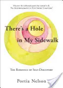W moim chodniku jest dziura: Romans odkrywania samego siebie - There's a Hole in My Sidewalk: The Romance of Self-Discovery