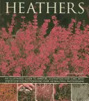 Wrzosy: Illustrated Guide to Varieties, Cultivation and Care, with Step-By-Step Instructions and Over 160 Beautiful Photogr - Heathers: An Illustrated Guide to Varieties, Cultivation and Care, with Wtep-By-Step Instructions and Over 160 Beautiful Photogr