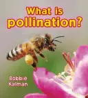 Co to jest zapylanie? - What Is Pollination?