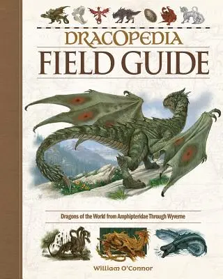 Dracopedia Field Guide: Smoki świata od Amphipteridae do Wyvernae - Dracopedia Field Guide: Dragons of the World from Amphipteridae Through Wyvernae