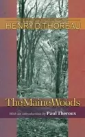 Lasy Maine - The Maine Woods