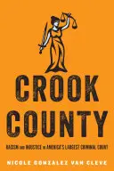 Hrabstwo Crook: Rasizm i niesprawiedliwość w największym amerykańskim sądzie karnym - Crook County: Racism and Injustice in America's Largest Criminal Court